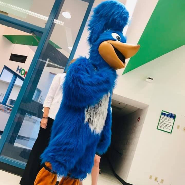 School Mascot